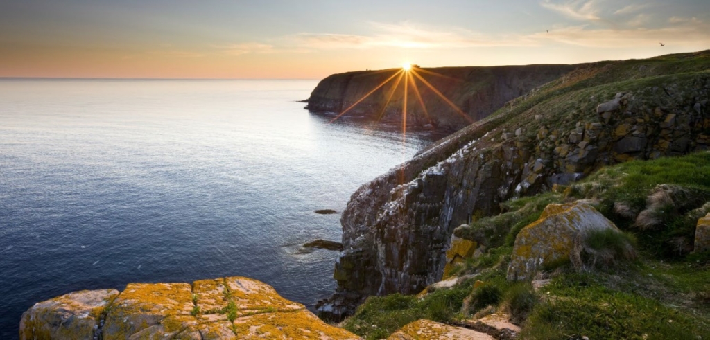 A serene view of a rocky Newfoundland coast at sunset. The sun is setting just above the horizon, casting a warm golden light across the calm ocean and highlighting the moss covered cliffs and grassy foreground