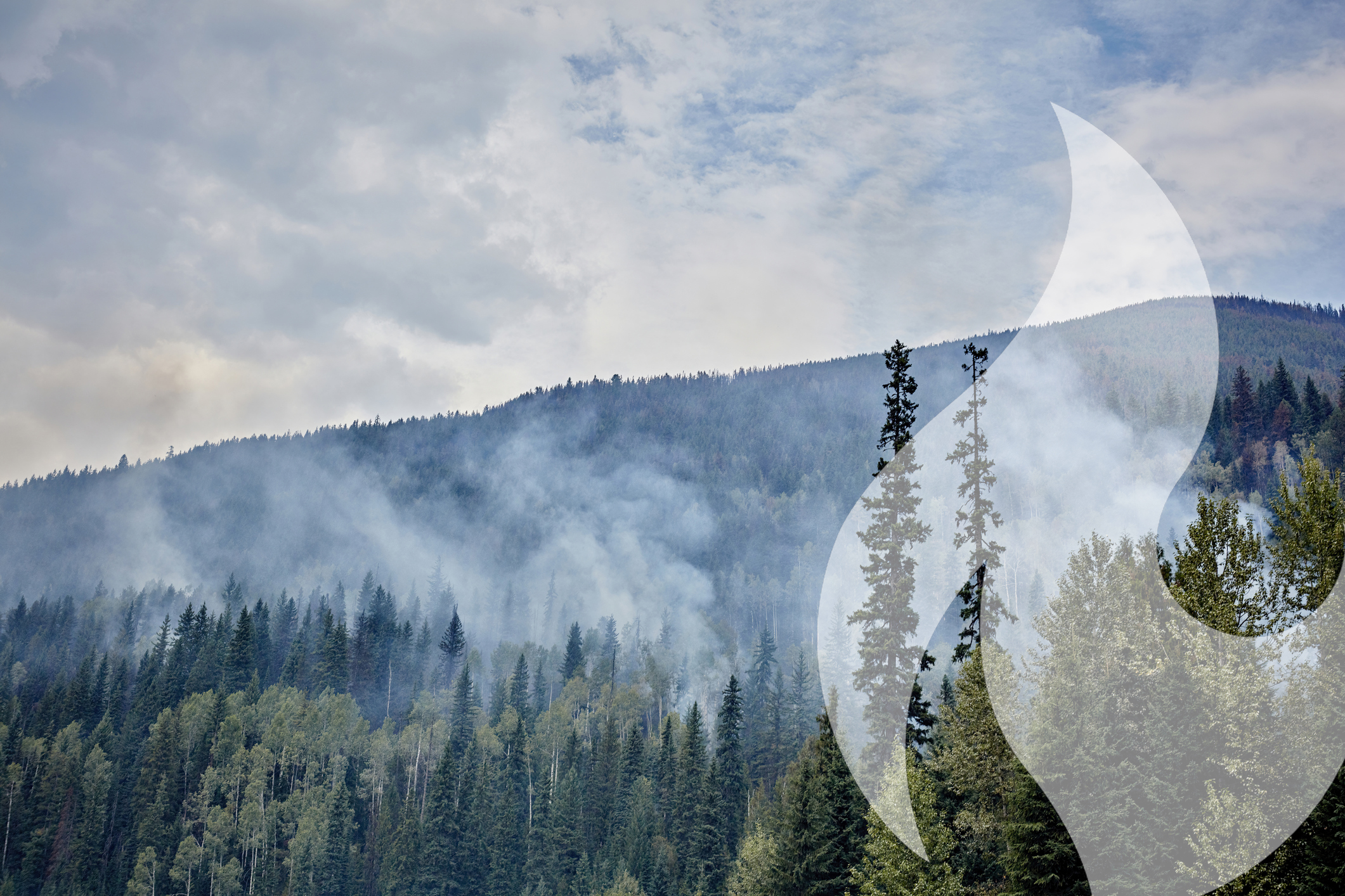 Wildfire information