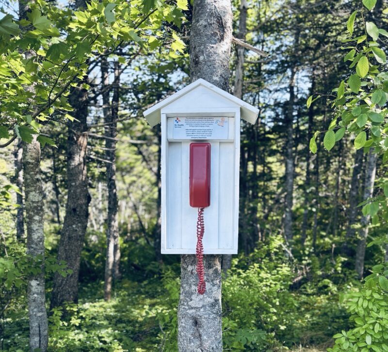 Wind Phone Installation Brings Comfort and Connection to the Burin Peninsula